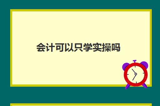 会计可以只学实操吗(会计没人带能自学吗)