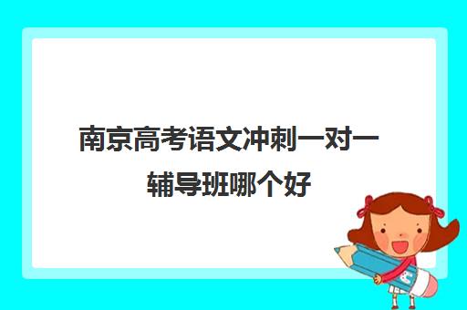 南京高考语文冲刺一对一辅导班哪个好(语文辅导哪家机构最好)