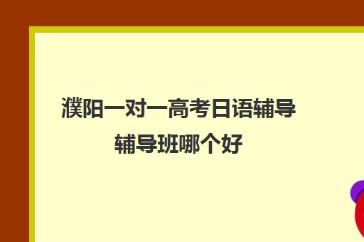 濮阳一对一高考日语辅导辅导班哪个好(濮阳家教一对一多少钱)