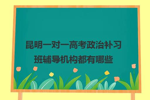 昆明一对一高考政治补习班辅导机构都有哪些