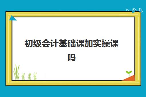 初级会计基础课加实操课吗(初级会计要学哪些课程)