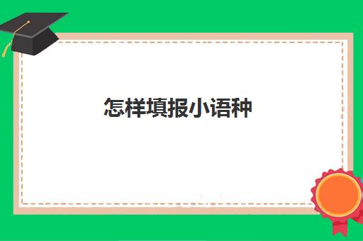 怎样填报小语种(外语语种及水平一般怎么填)