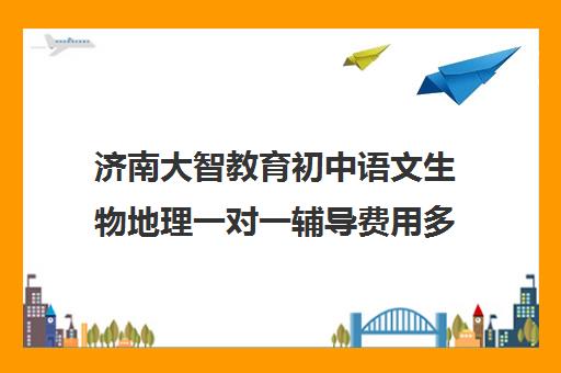 济南大智教育初中语文生物地理一对一辅导费用多少钱（初中数学补课哪家机构好）