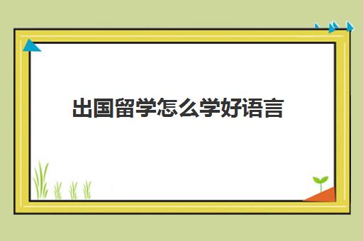 出国留学怎么学好语言(出国留学读语言班费用)