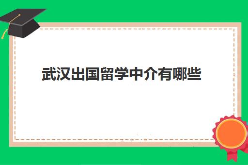 武汉出国留学中介有哪些(武汉市正规留学机构)