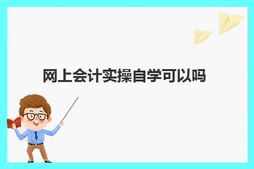 网上会计实操自学可以吗(网上学会计一般多少费用)