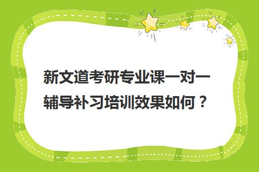 新文道考研专业课一对一辅导补习培训效果如何？靠谱吗