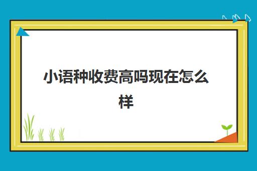 小语种收费高吗现在怎么样(小语种收费标准)