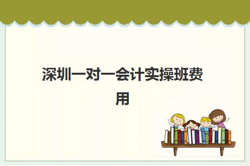 深圳一对一会计实操班费用(零基础财务培训班)