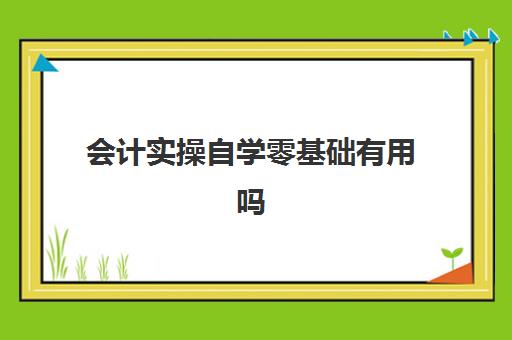 会计实操自学零基础有用吗(一个新手如何自学会计)