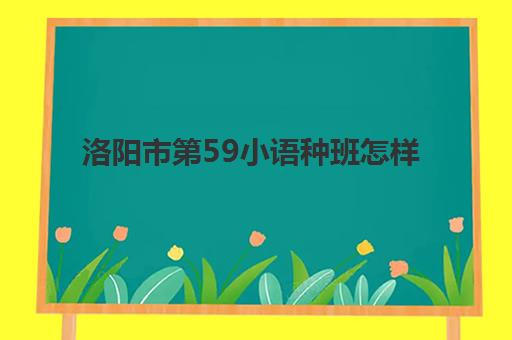 洛阳市第59小语种班怎样(小语种什么时候学最好)