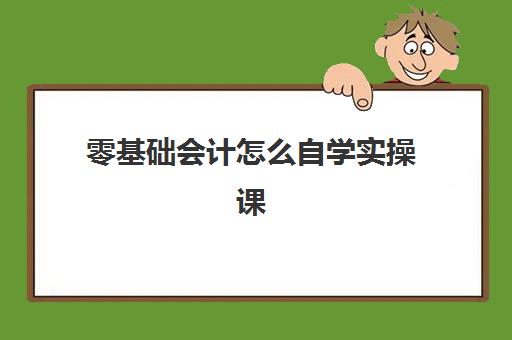 零基础会计怎么自学实操课(零基础会计入门课程)