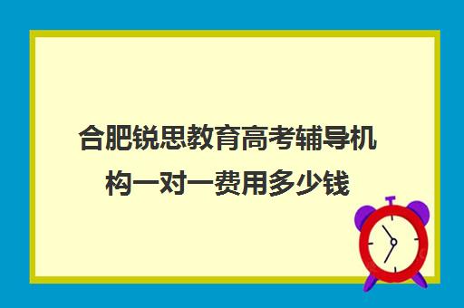 合肥锐思教育高考辅导机构一对一费用多少钱（合肥一对一辅导机构）