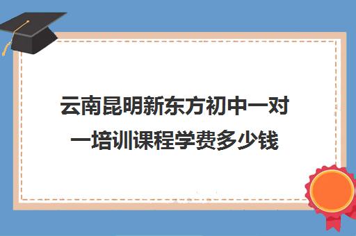 云南昆明新东方初中一对一培训课程学费多少钱（昆明补课哪个机构比较好）