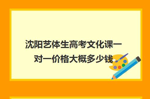 沈阳艺体生高考文化课一对一价格大概多少钱(沈阳高三文化课培训班排名前十名)