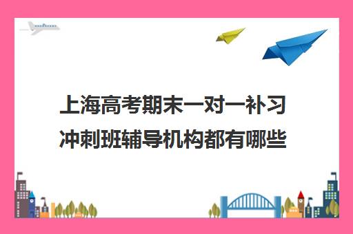 上海高考期末一对一补习冲刺班辅导机构都有哪些