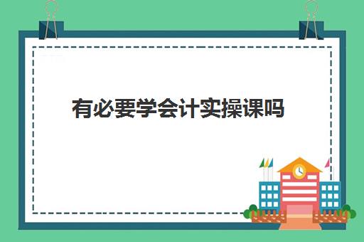 有必要学会计实操课吗(学会计上网课好还是实体课好)