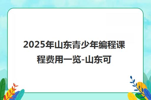 2025年山东青少年编程课程费用一览-山东可达鸭编程教育