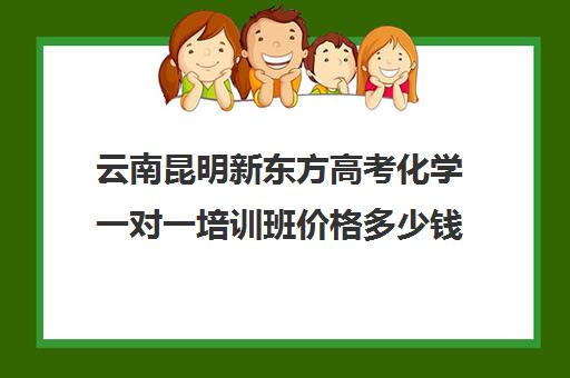 云南昆明新东方高考化学一对一培训班价格多少钱（昆明新东方教育培训机构电话）