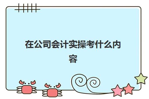 在公司会计实操考什么内容(会计实训都干什么)