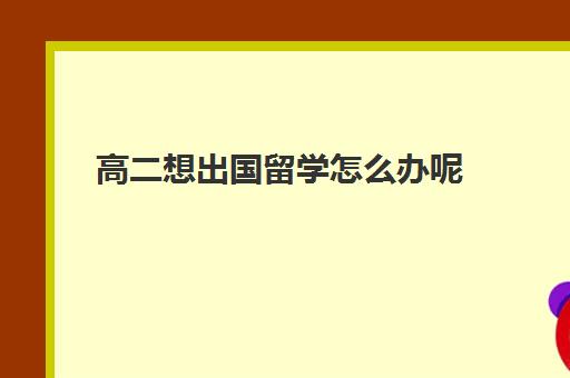 高二想出国留学怎么办呢(高二出国留学流程)