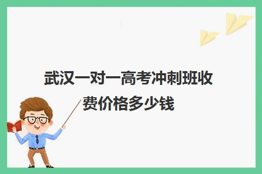 武汉一对一高考冲刺班收费价格多少钱(武汉尖锋教育一对三收费)