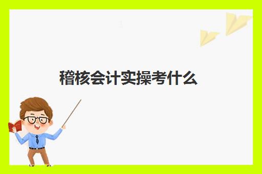 稽核会计实操考什么(会计可以考哪些证书)