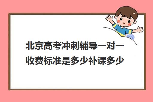 北京高考冲刺辅导一对一收费标准是多少补课多少钱一小时(高三冲刺班收费标准)