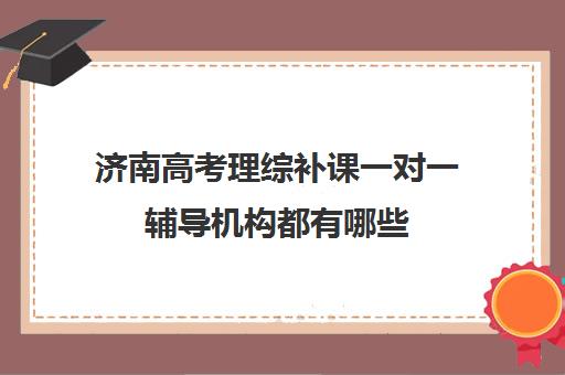 济南高考理综补课一对一辅导机构都有哪些(高三物理一对一提分)