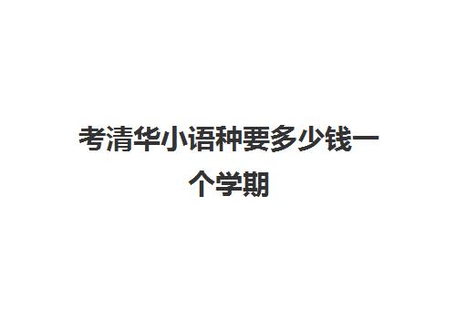 考清华小语种要多少钱一个学期(小语种高考和普通高考有什么区别)