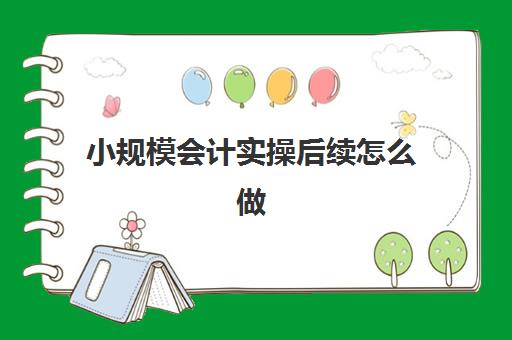 小规模会计实操后续怎么做(小规模会计做账流程)