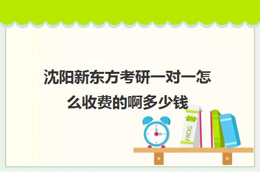 沈阳新东方考研一对一怎么收费的啊多少钱(新东方考研班)