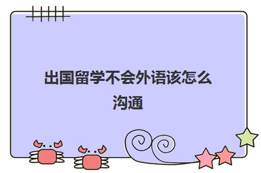 出国留学不会外语该怎么沟通(不会外语怎么留学)