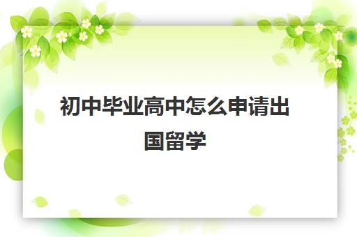 初中毕业高中怎么申请出国留学(高中毕业可以直接出国留学吗)