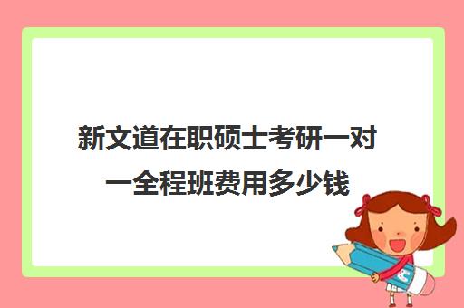 新文道在职硕士考研一对一全程班费用多少钱（新文道考研机构怎么样）