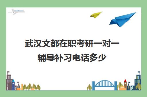 武汉文都在职考研一对一辅导补习电话多少