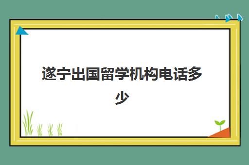 遂宁出国留学机构电话多少(出国留学便宜的机构)