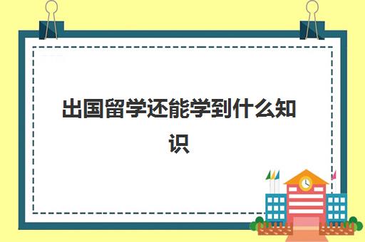 出国留学还能学到什么知识(出国留学的专业有哪些)