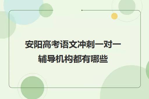 安阳高考语文冲刺一对一辅导机构都有哪些(一对一教育机构排名)