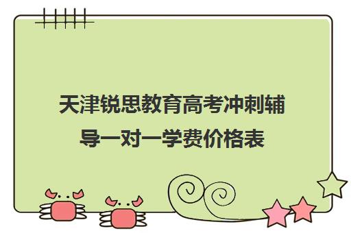 天津锐思教育高考冲刺辅导一对一学费价格表（天津高中一对一补课多少钱一小时）