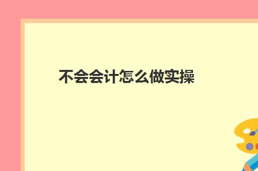 不会会计怎么做实操(基础会计试题)