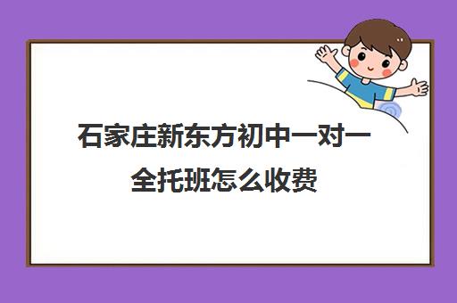 石家庄新东方初中一对一全托班怎么收费（新东方初三一对一价格表）