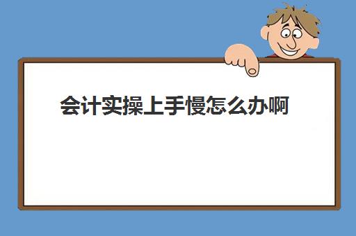 会计实操上手慢怎么办啊(新手会计应该怎么着手)