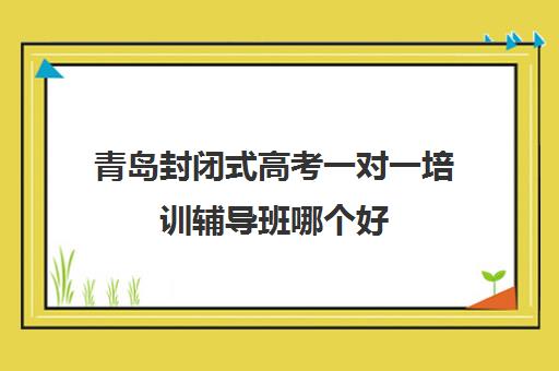 青岛封闭式高考一对一培训辅导班哪个好(济南有封闭式辅导班吗)