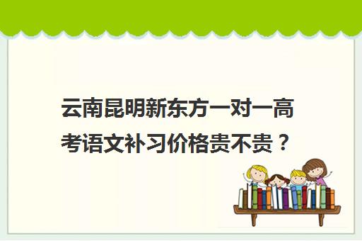 云南昆明新东方一对一高考语文补习价格贵不贵？多少钱一年