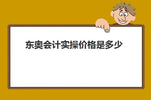 东奥会计实操价格是多少(东奥会计培训班多少钱)