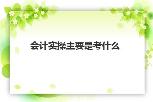 会计实操主要是考什么(会计初学者的入门知识基础教程)