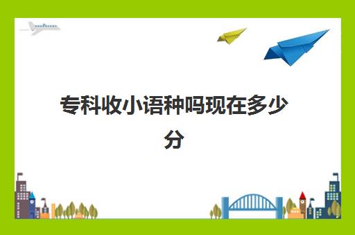 专科收小语种吗现在多少分(小语种可以报考哪些大学)