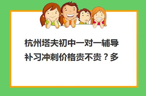 杭州塔夫初中一对一辅导补习冲刺价格贵不贵？多少钱一年