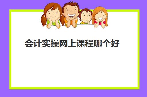 会计实操网上课程哪个好(会计培训班还是网上学哪个好)